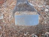 image of grave number 619278